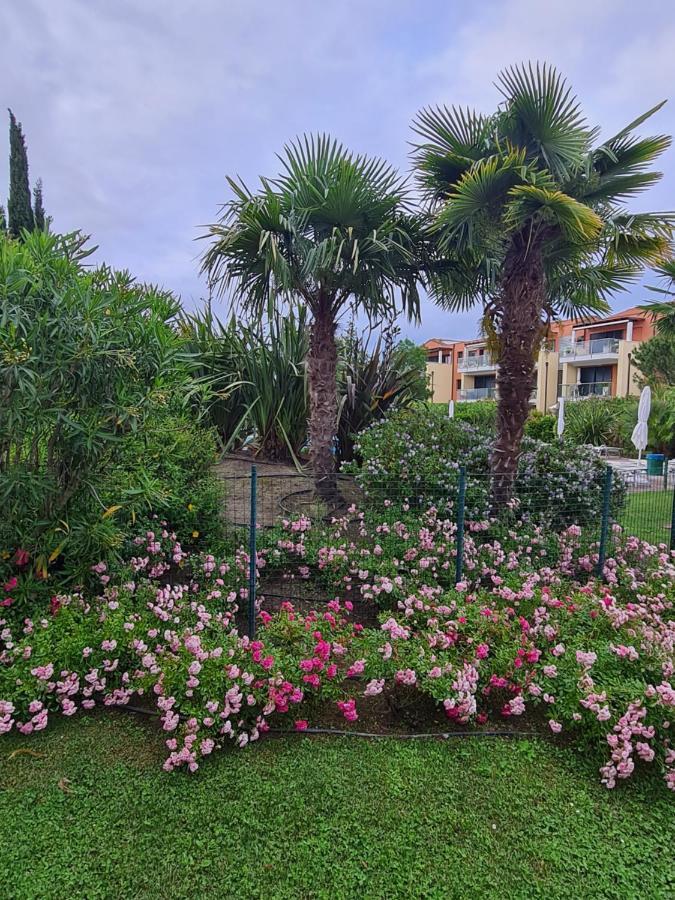 Appartamento Con Vista A Cavallino Venezia 外观 照片